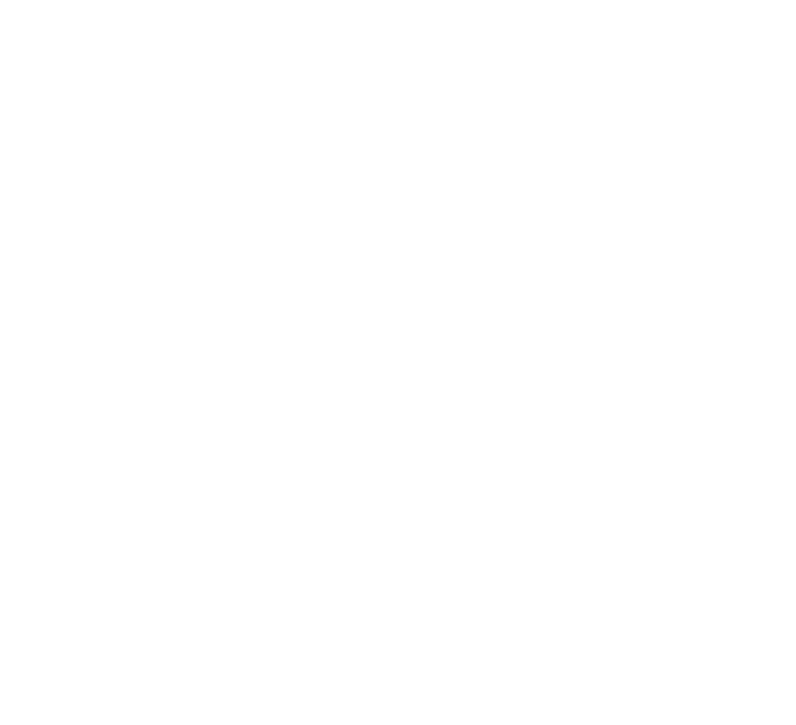 VeChain